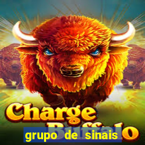 grupo de sinais trader telegram